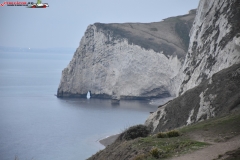 Jurassic Coast Anglia 62