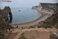 Jurassic Coast Anglia 88