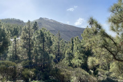 La Crucita - Barranco de Hoya Fria, Tenerife 20