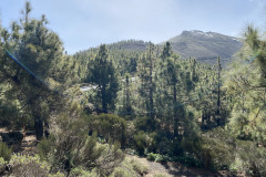 La Crucita - Barranco de Hoya Fria, Tenerife 23