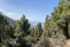La Crucita - Barranco de Hoya Fria, Tenerife 25