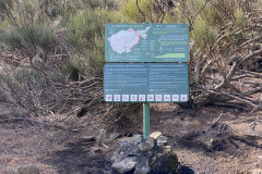 La Crucita - Barranco de Hoya Fria, Tenerife 33