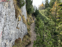 La Zaplaz Piatra Craiului 54