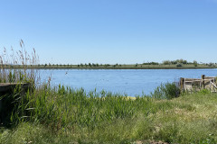Lacul Amara 20