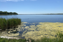 Lacul Amara 21