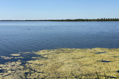 Lacul Amara 22
