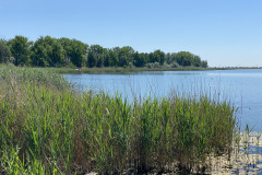 Lacul Amara 23