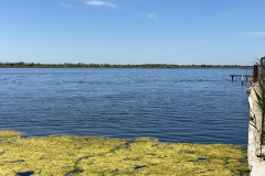 Lacul Amara 25