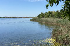 Lacul Amara 31