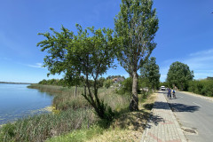 Lacul Amara 34