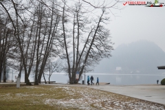 Lacul Bled, Slovenia 12