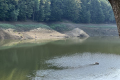 Lacul de acumulare Firiza 25