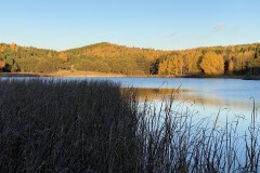 Lacul Mocearu 31