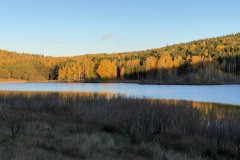 Lacul Mocearu 38