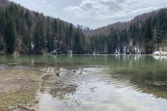 Lacul Scropoasa 31