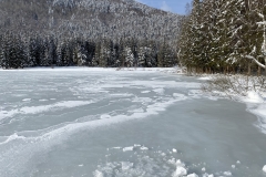 Lacul Sfânta Ana Iarna  45