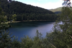 Lacul și barajul Vidraru 14