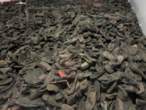 Lagărul de concentrare Auschwitz 105