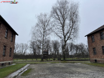 Lagărul de concentrare Auschwitz 115