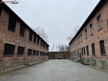 Lagărul de concentrare Auschwitz 139