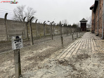 Lagărul de concentrare Auschwitz 148