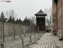 Lagărul de concentrare Auschwitz 149