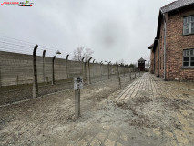 Lagărul de concentrare Auschwitz 150