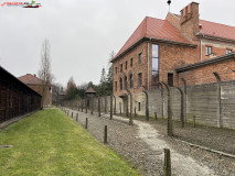 Lagărul de concentrare Auschwitz 151