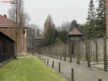 Lagărul de concentrare Auschwitz 152