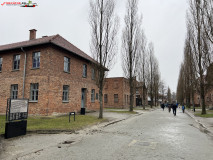 Lagărul de concentrare Auschwitz 153