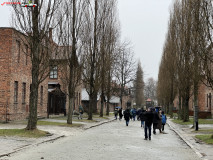 Lagărul de concentrare Auschwitz 154