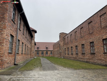 Lagărul de concentrare Auschwitz 155