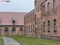 Lagărul de concentrare Auschwitz 156