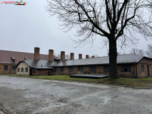 Lagărul de concentrare Auschwitz 157