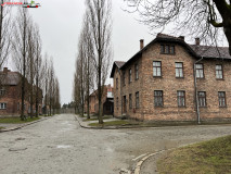 Lagărul de concentrare Auschwitz 160