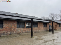 Lagărul de concentrare Auschwitz 161