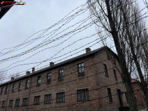 Lagărul de concentrare Auschwitz 167