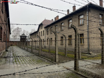 Lagărul de concentrare Auschwitz 172