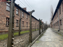 Lagărul de concentrare Auschwitz 173