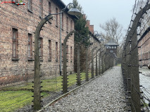 Lagărul de concentrare Auschwitz 174