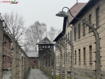 Lagărul de concentrare Auschwitz 175