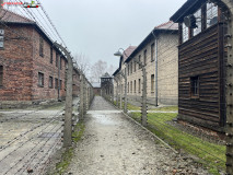 Lagărul de concentrare Auschwitz 176