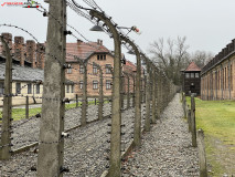 Lagărul de concentrare Auschwitz 32