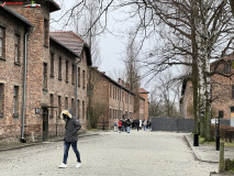 Lagărul de concentrare Auschwitz 34