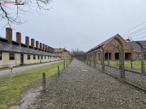 Lagărul de concentrare Auschwitz 35