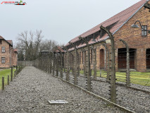 Lagărul de concentrare Auschwitz 36