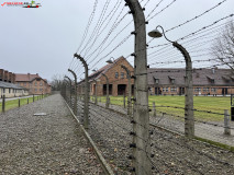 Lagărul de concentrare Auschwitz 39