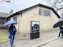 Lagărul de concentrare Auschwitz 43