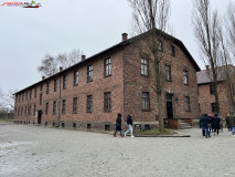 Lagărul de concentrare Auschwitz 49