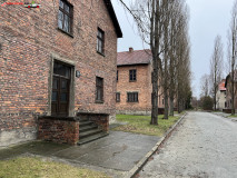 Lagărul de concentrare Auschwitz 50